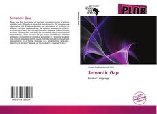 Couverture de Semantic Gap