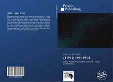 Buchcover von (11901) 1991 PV11