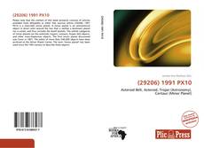 Bookcover of (29206) 1991 PX10