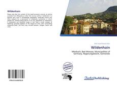 Bookcover of Wildenhain