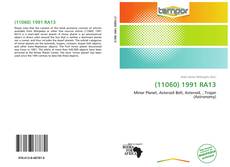 Bookcover of (11060) 1991 RA13