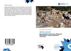 Portada del libro de Willerstedt