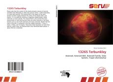 Bookcover of 13265 Terbunkley