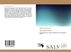 Bookcover of Spongiochrysis