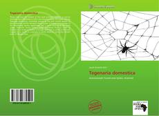 Bookcover of Tegenaria domestica