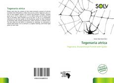 Bookcover of Tegenaria atrica