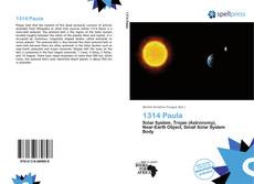 Buchcover von 1314 Paula