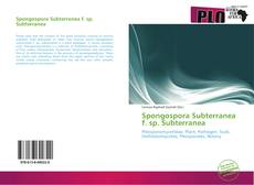 Buchcover von Spongospora Subterranea f. sp. Subterranea