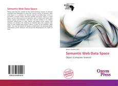 Portada del libro de Semantic Web Data Space