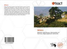 Portada del libro de Witzin