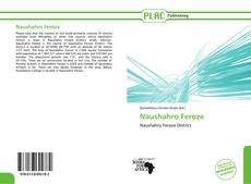 Capa do livro de Naushahro Feroze 