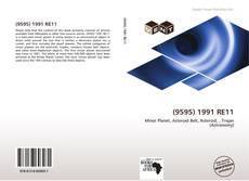 Buchcover von (9595) 1991 RE11