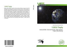 Portada del libro de 12852 Teply