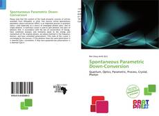 Bookcover of Spontaneous Parametric Down-Conversion