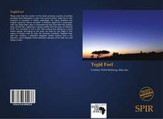 Portada del libro de Tegid Foel