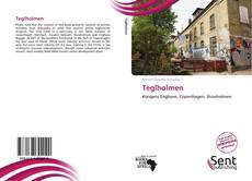 Portada del libro de Teglholmen