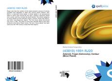 Bookcover of (43810) 1991 RJ20