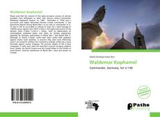 Capa do livro de Waldemar Kophamel 