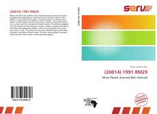 Bookcover of (20014) 1991 RM29