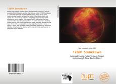 Buchcover von 12801 Somekawa