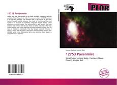 Buchcover von 12753 Povenmire