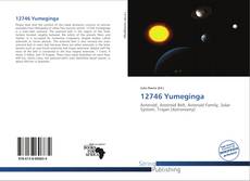 Borítókép a  12746 Yumeginga - hoz