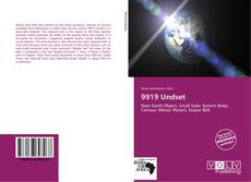 Bookcover of 9919 Undset