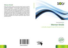 Werner Streib kitap kapağı