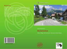 Bookcover of Bušanovice