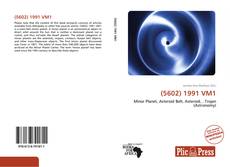 Bookcover of (5602) 1991 VM1