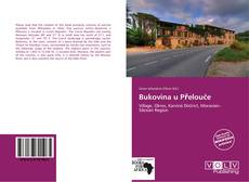 Capa do livro de Bukovina u Přelouče 