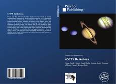 Buchcover von 65775 Reikotosa