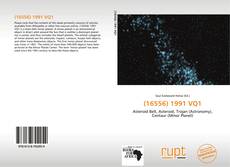 Buchcover von (16556) 1991 VQ1