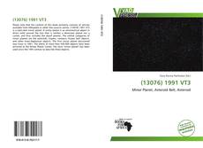 Bookcover of (13076) 1991 VT3