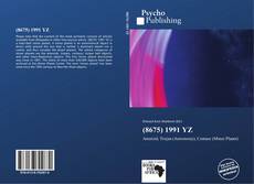 Bookcover of (8675) 1991 YZ