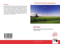 Capa do livro de Brzánky 