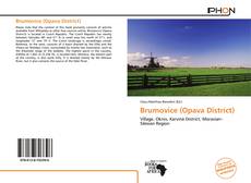 Bookcover of Brumovice (Opava District)