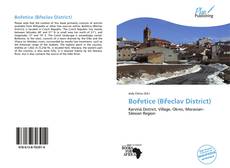 Bookcover of Bořetice (Břeclav District)