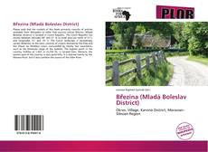 Bookcover of Březina (Mladá Boleslav District)