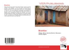 Couverture de Brantice