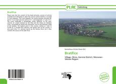 Bookcover of Bratřice