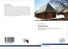 Couverture de Bravantice