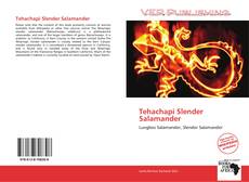 Capa do livro de Tehachapi Slender Salamander 