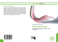 Buchcover von Semi-arid Pampas