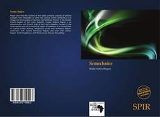 Bookcover of Semechnice