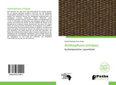 Copertina di Anthophora crinipes