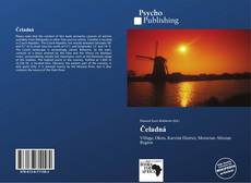 Portada del libro de Čeladná