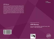 Portada del libro de 4599 Rowan