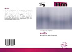 Couverture de Antillo