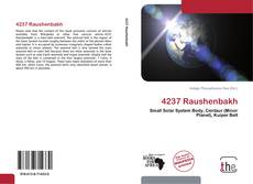 4237 Raushenbakh kitap kapağı